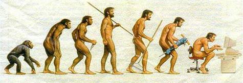 evolution1.jpg (20840 bytes)